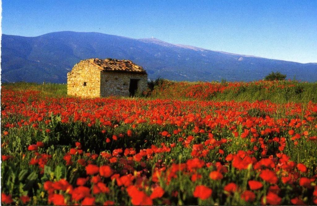 La Petite Maison Céreste Exterior foto
